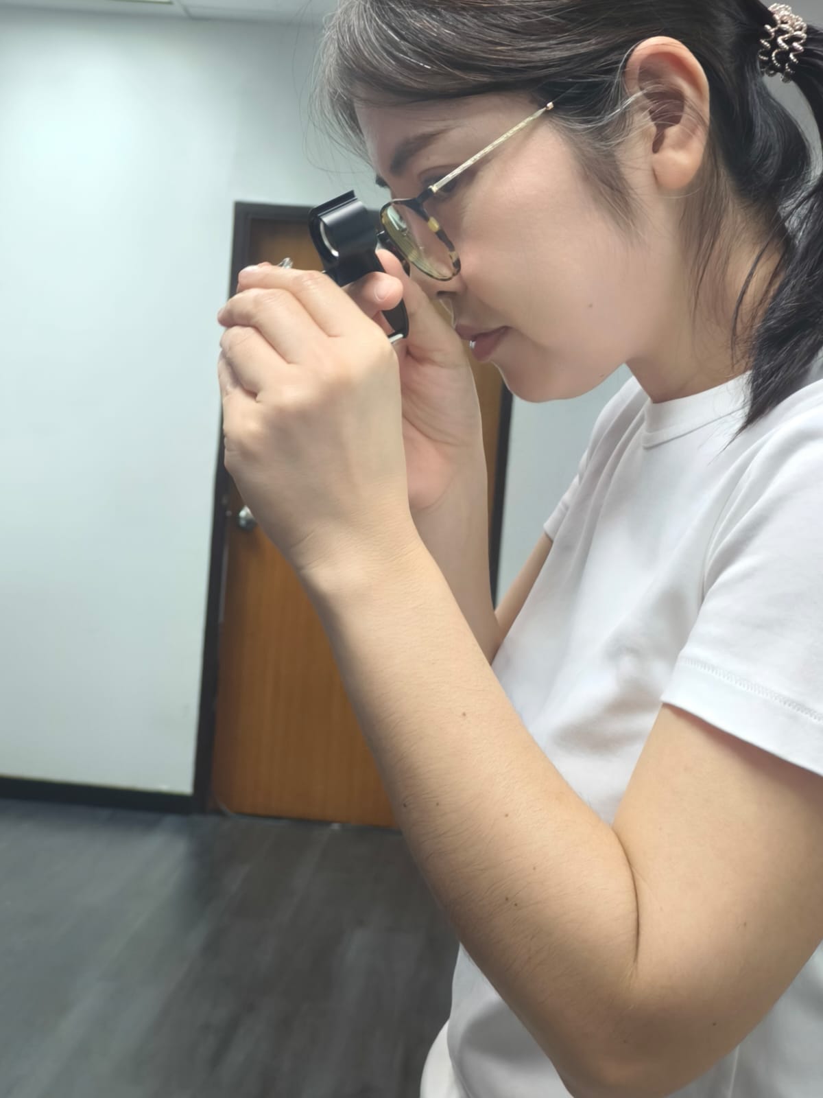 OGI Trusted Professional