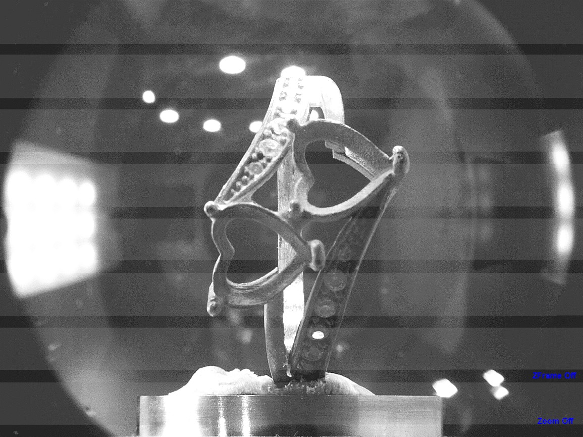 Ring Detail Close-up