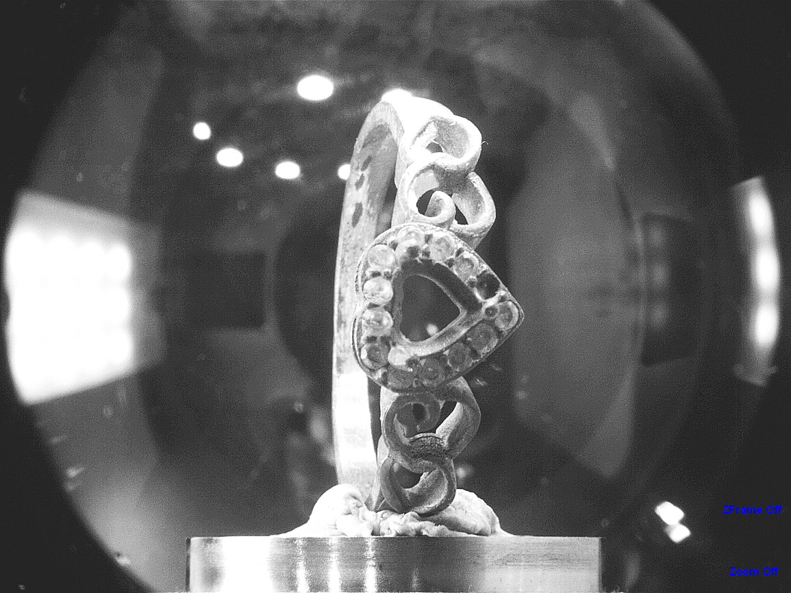 Ring Detail Close-up